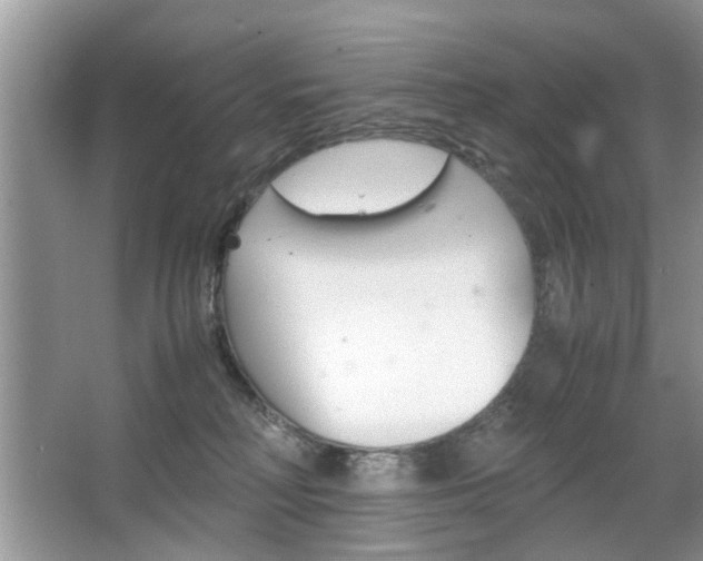 X0000067910230200604131117