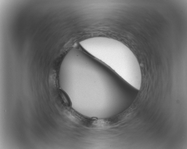 X0000067910231200604131117