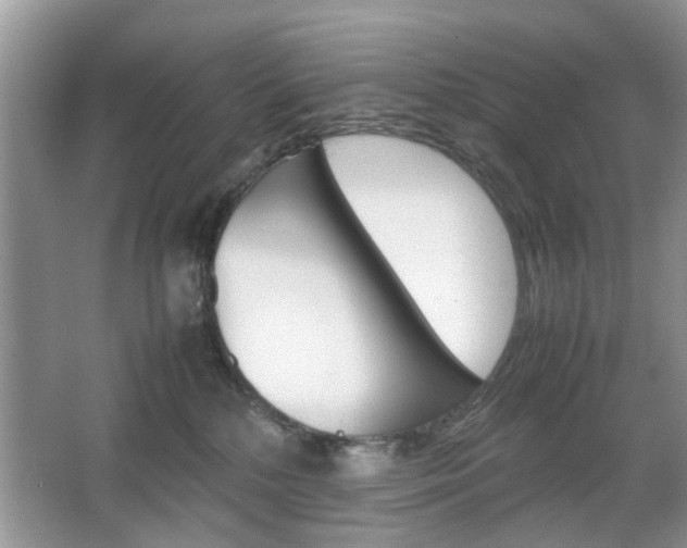 X0000067910232200604131117