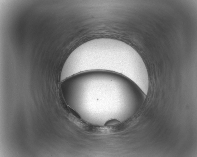 X0000067910233200604131117