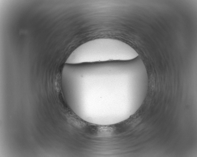 X0000067910234200604131117