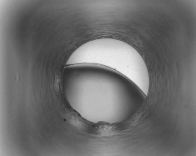 X0000067910235200604131117