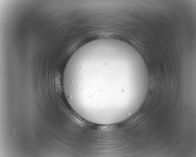 X0000067910238200604131117