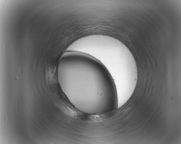 X0000067910239200604131117