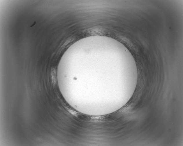 X0000067910240200604131117