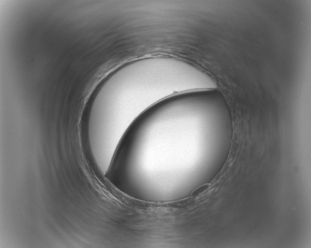 X0000067910242200604131116