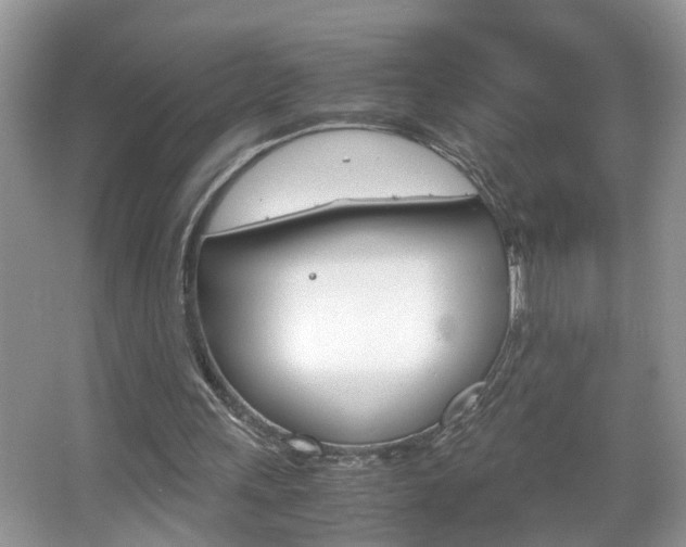 X0000067910243200604131116