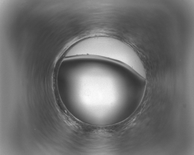 X0000067910244200604131116