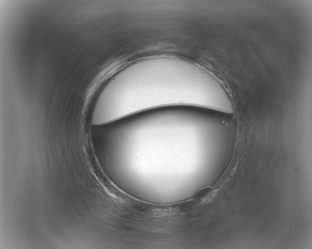 X0000067910245200604131116