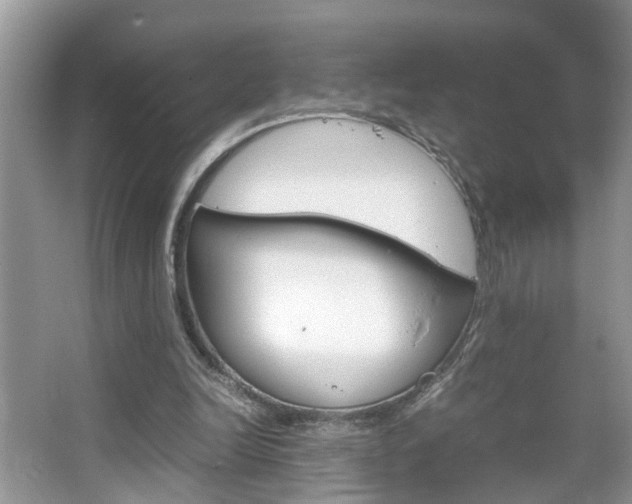 X0000067910246200604131116