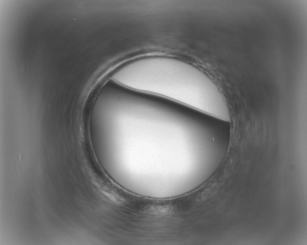 X0000067910247200604131116