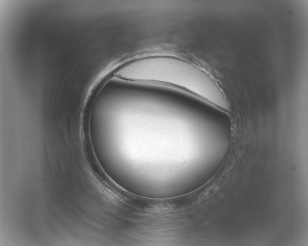 X0000067910248200604131116