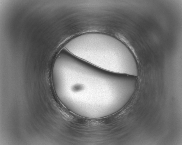 X0000067910249200604131116