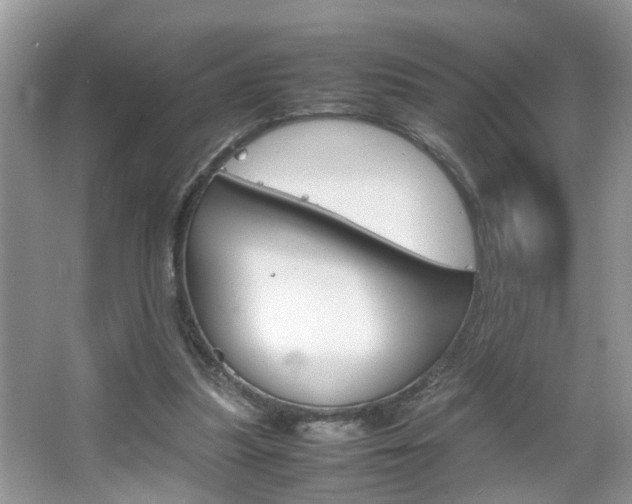 X0000067910251200604131116