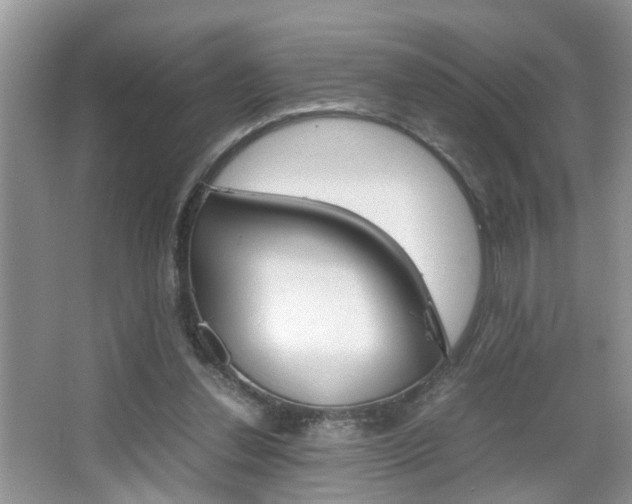 X0000067910252200604131116