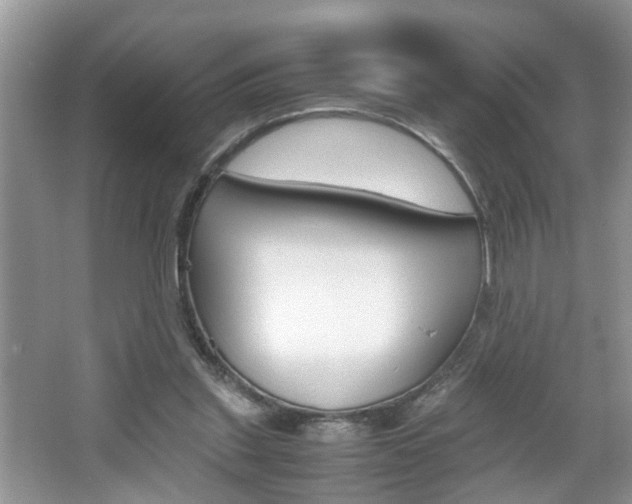 X0000067910253200604131116