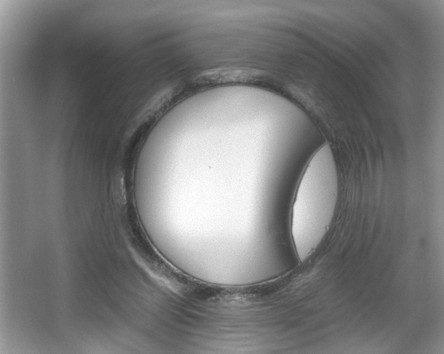 X0000067910254200604131116