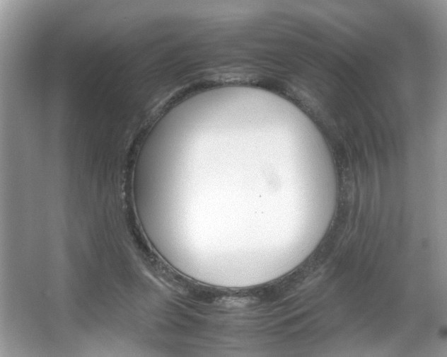 X0000067910255200604131116