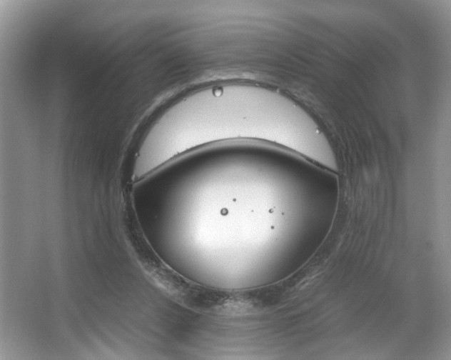 X0000067910256200604131116