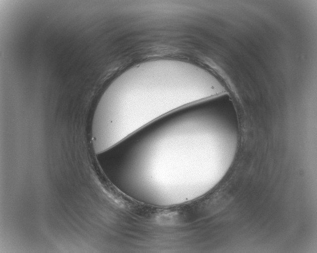 X0000067910257200604131116