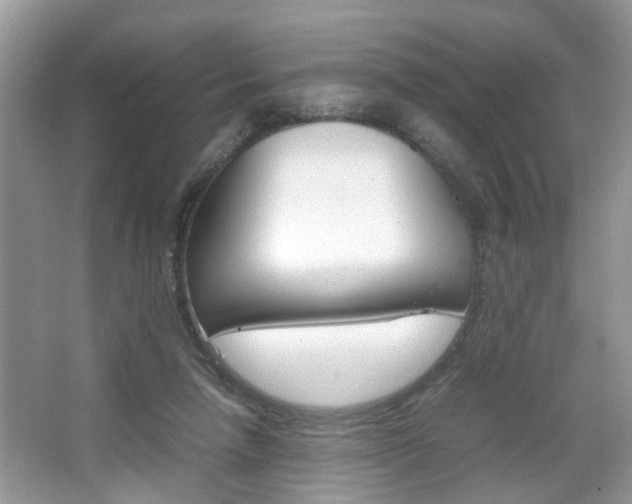 X0000067910258200604131116