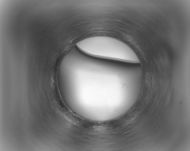 X0000067910259200604131116