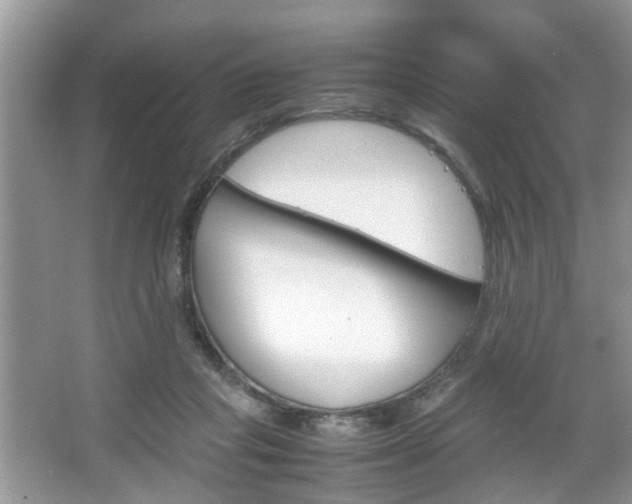 X0000067910261200604131116