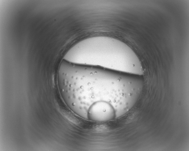 X0000067910262200604131116