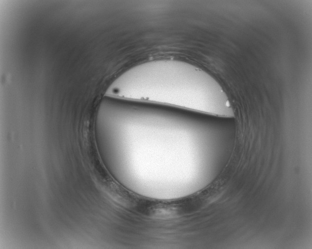 X0000067910263200604131116