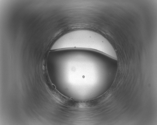 X0000067910264200604131116