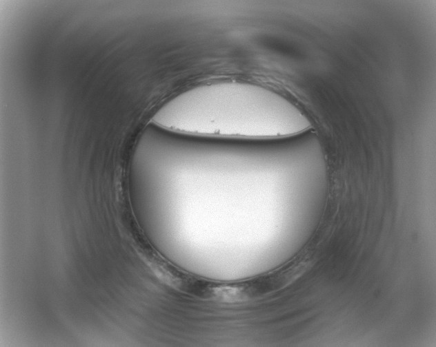 X0000067910265200604131116