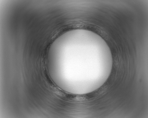 X0000067910270200604131116