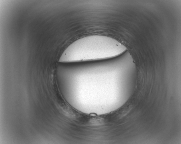 X0000067910271200604131116