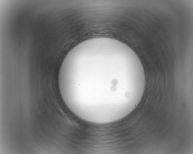 X0000067910272200604131116