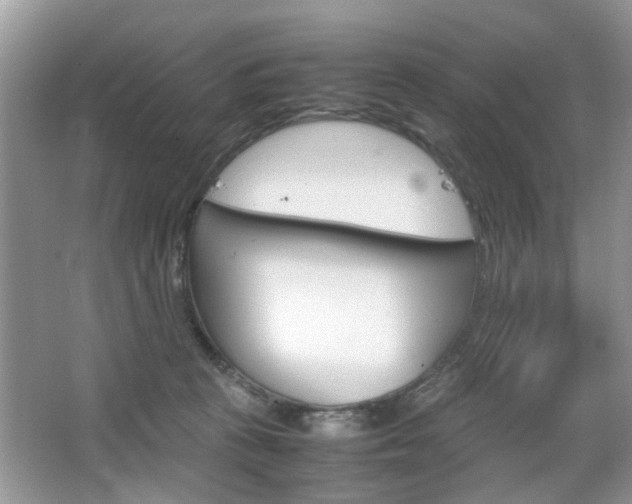 X0000067910273200604131116