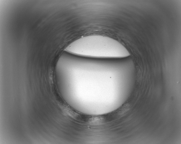 X0000067910274200604131116