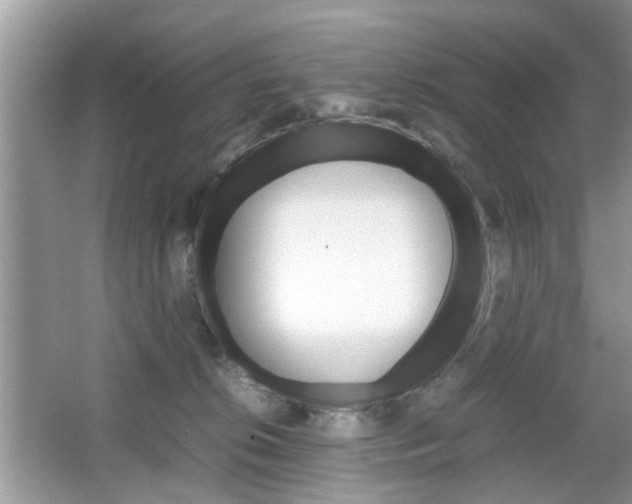 X0000067910276200604131116