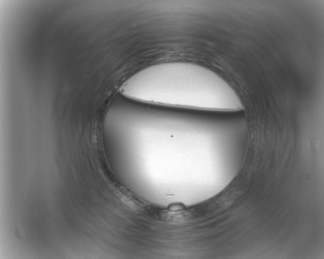 X0000067910277200604131116