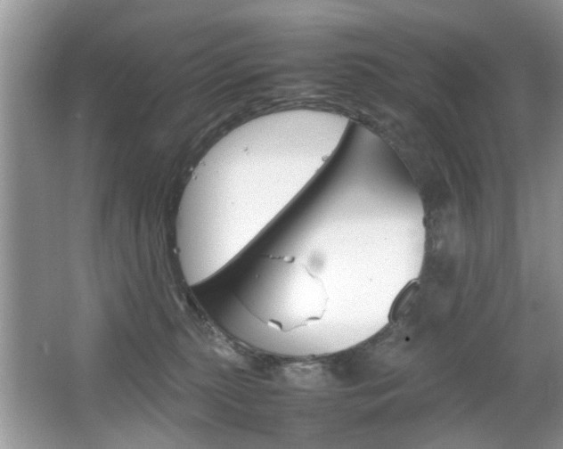 X0000067910279200604131116