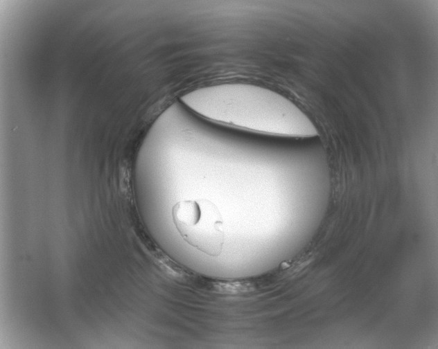 X0000067910281200604131116