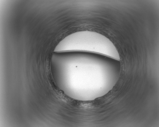 X0000067910283200604131116