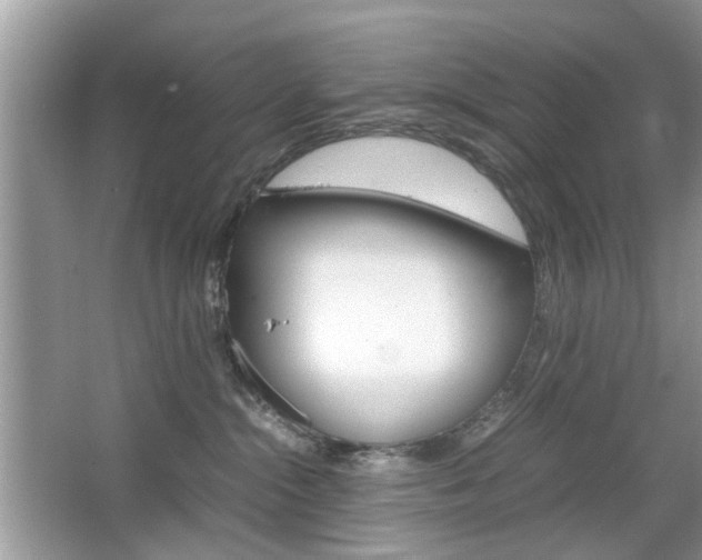 X0000067910284200604131116