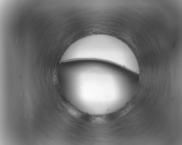 X0000067910285200604131116