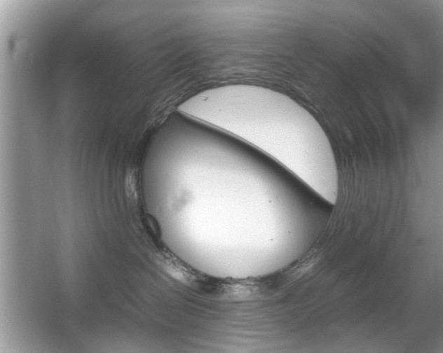 X0000067910286200604131116