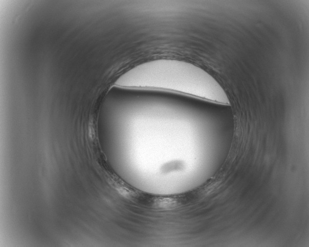 X0000067910287200604131116