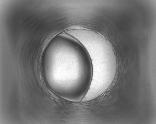 X0000067910289200604131116