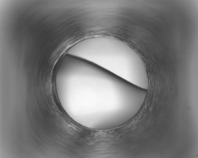 X0000067910290200604131116