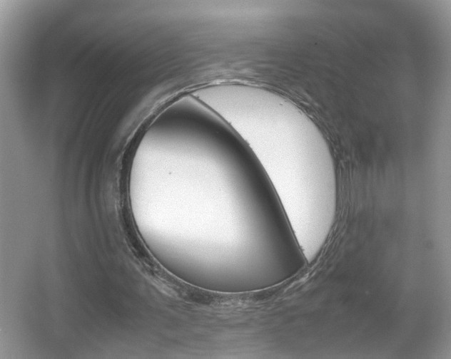 X0000067910291200604131116