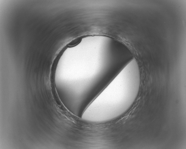 X0000067910292200604131116