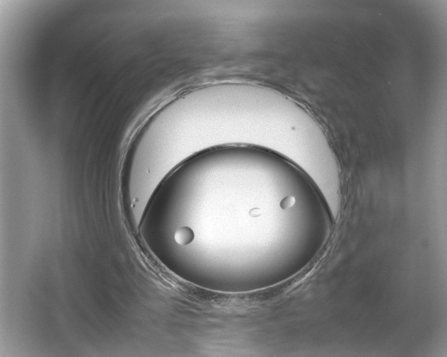 X0000067910293200604131116